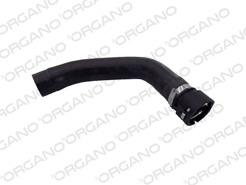 RADIATOR UPPER HOSE